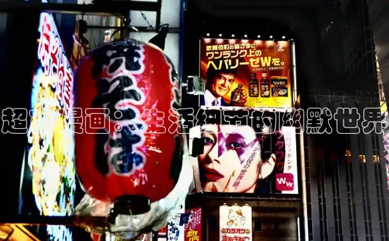 五一动画网页版