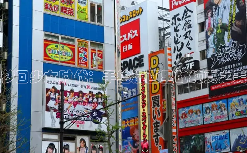 51动画网页版官网